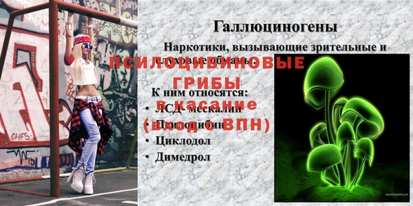 ECSTASY Бородино