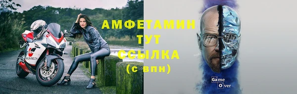 ECSTASY Бородино