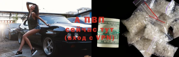 гидра Бронницы