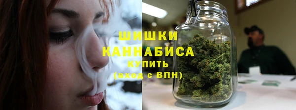 ECSTASY Бородино