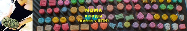 ECSTASY Бородино