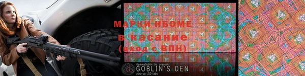 ECSTASY Бородино